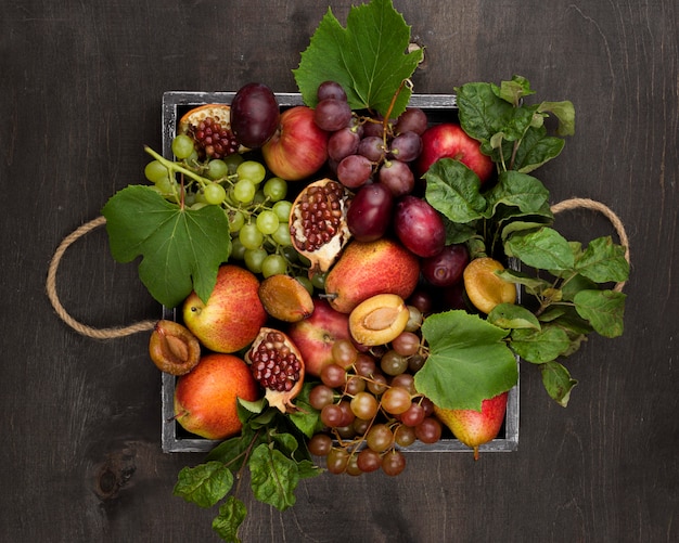 Top view composition of delicious autumn fruits