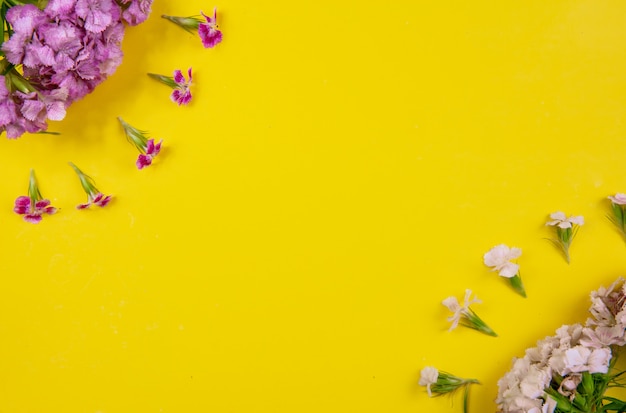 Top view copy space flowers white and pink on a yellow background