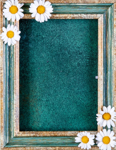 Free photo top view copy space greenish gold frame with daisies on green