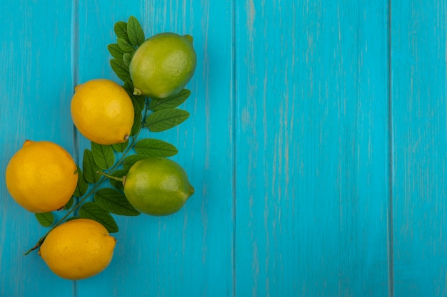 Free photo top view  copy space lemons with limes on a branch of leaves on a turquoise background