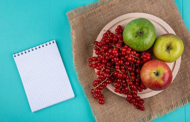 Top view copy space red currant with apples on a plate and a notebook on a light blue background