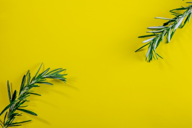 Free photo top view copy space rosemary branches on a yellow background