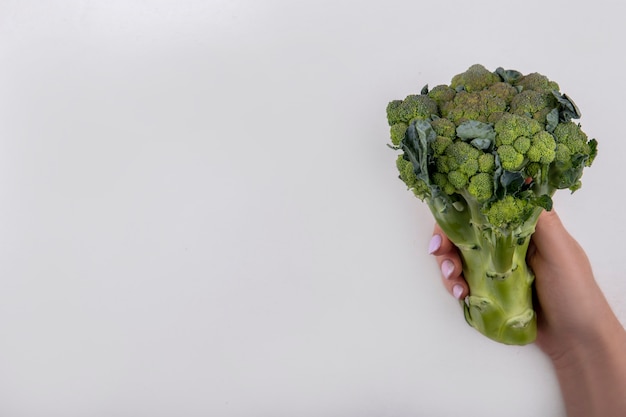 Free photo top view  copy space  woman holding broccoli in her hand on white background