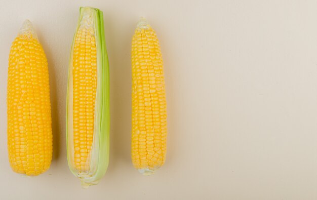 Top view of corn cobs on left side and white with copy space