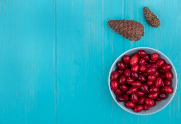 Top view of cornel berries in bowl with pinecones on blue background with copy space