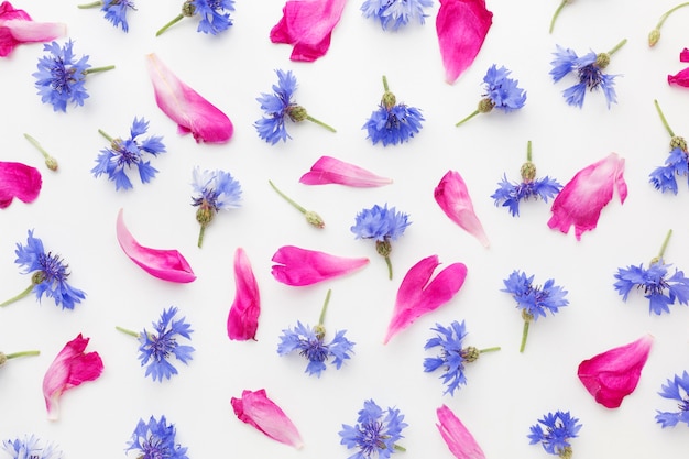 Free photo top view cornflowers and pink petals