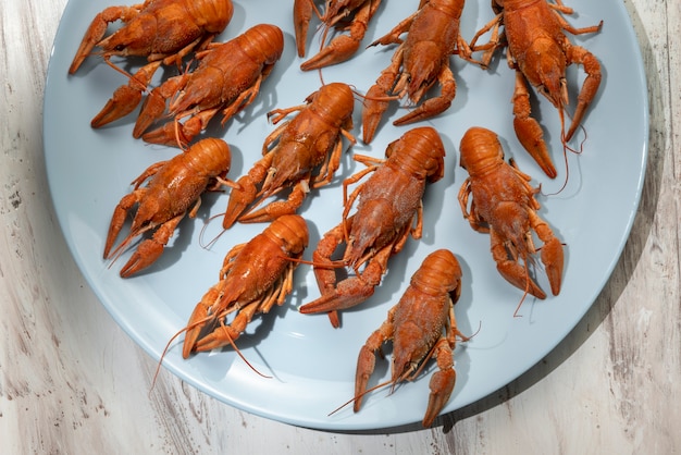 Top view of crawfish in blue plate