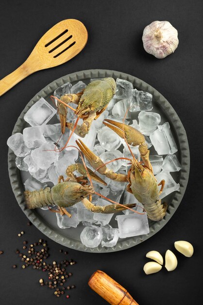 Top view of crawfish with ice cubes