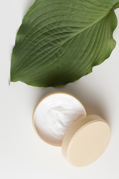 Free photo top view of a cream and leaf with white background