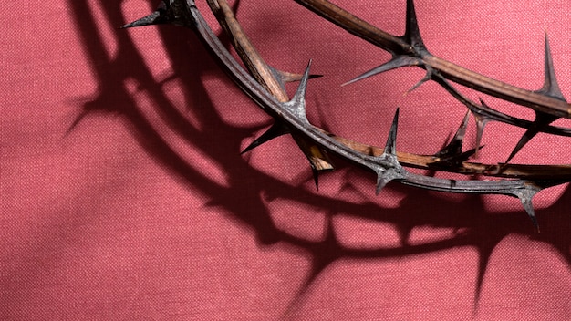 Free Photo top view crown of thorns on red texture