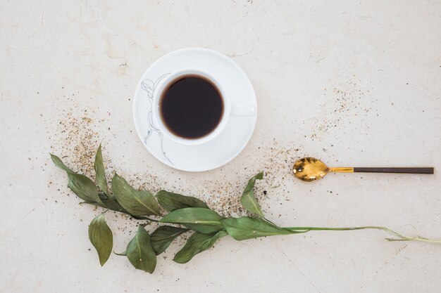 Top view cup of tea with branch