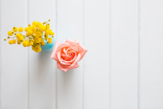 Top view of cute flowers on white surface