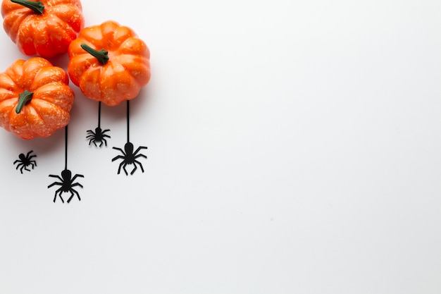 Free Photo top view decoration pumpkins and spiders