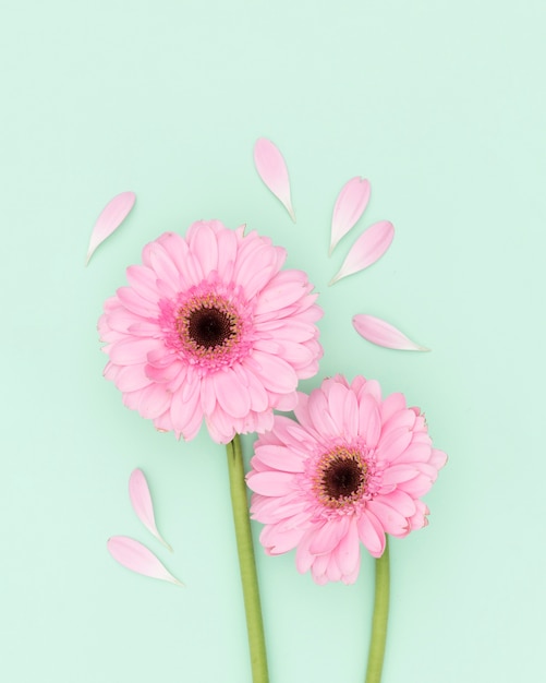 Top view decoration with pink flowers