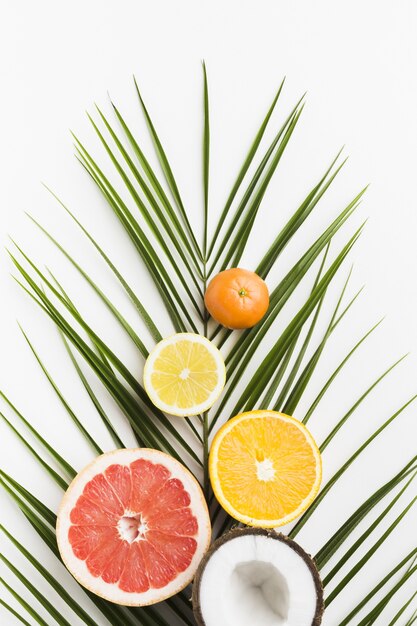 Top view of delicious fruits on leaf