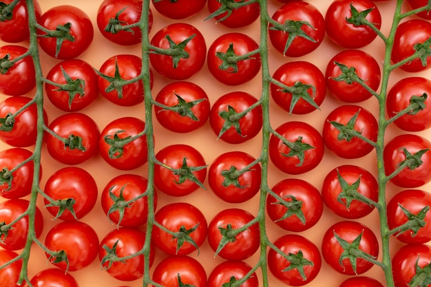 Free photo top view delicious tomatoes