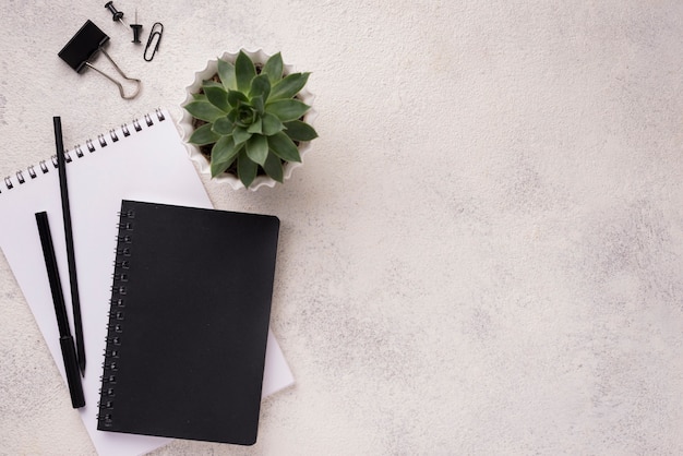 Free Photo top view of desk with notebooks and succulent plant