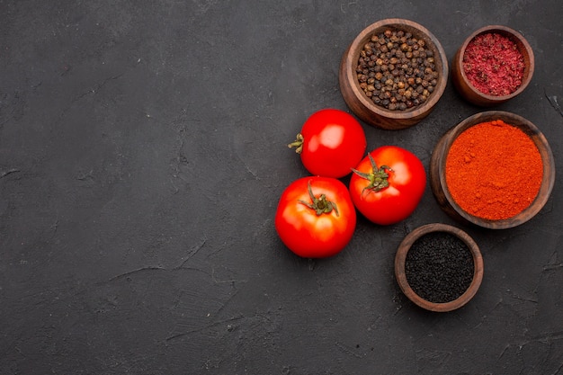 Top view different seasonings with fresh red tomatoes on dark background meal salad health seasoning