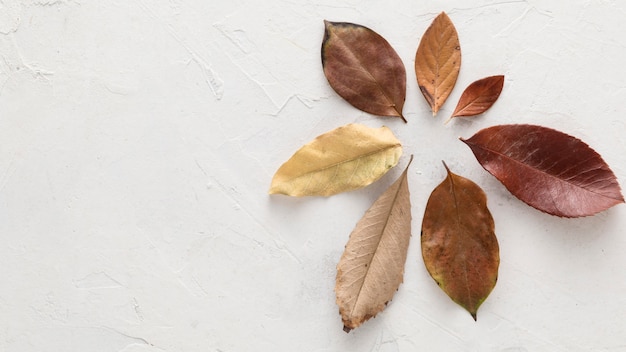 Top view of dry autumn leaves with copy space