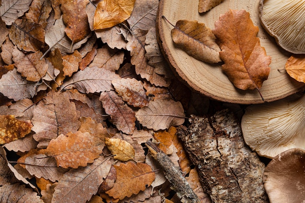 Top view dry leaves