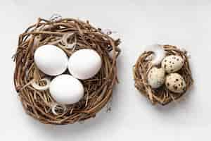 Free photo top view of easter eggs in bird nests and feathers