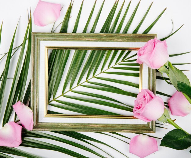 Top view of an empty picture frame with pink color roses on a palm leaf on white background