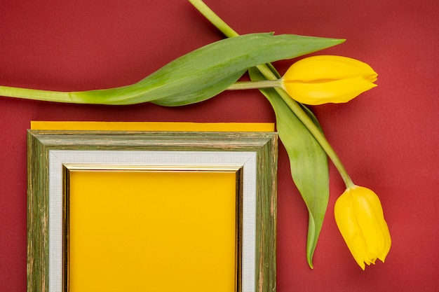 Top view of an empty picture frame and yellow color tulips on red table