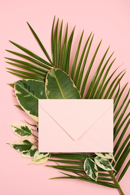 Top view of envelope on plant leaves