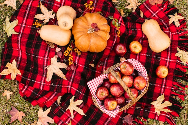 Top view fall season meal on picnic blanket 