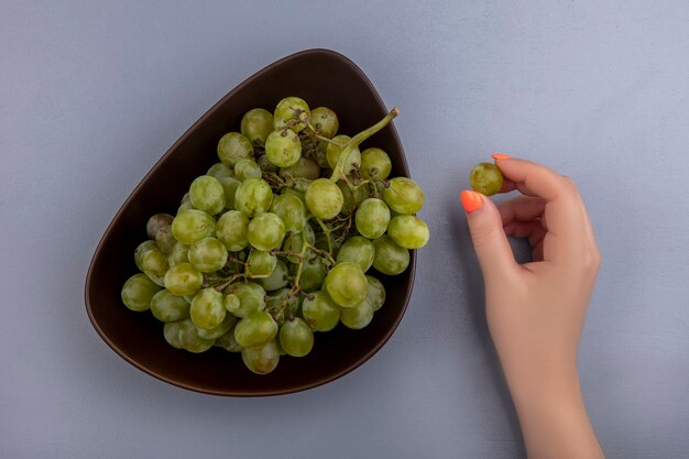 Top view of female hand holding grape berrie with bowl of white grape on gray background