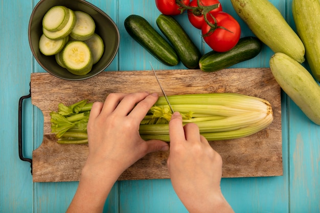 Top view of female hands cutting celery on a wooden kitchen board with knife with tomatoes cucumbers and zucchinis isolated on a blue wooden surface