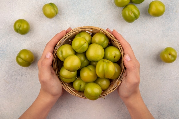 Free photo top view of female hands holding basket of green plums on white background