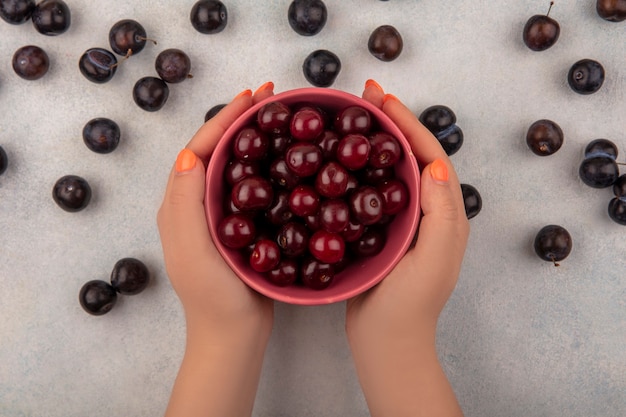 Free photo top view of female hands holding a bowl with red cherries with sloes isolated on a white background