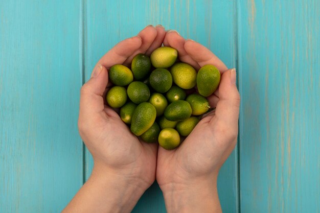 Top view of female hands holding fresh kinkans on a blue wooden surface