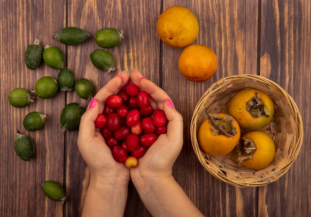 Free photo top view of female hands holding fresh red cornelian cherries with fresh persimmon fruits on a bucket with feijoas isolated on a wooden wall