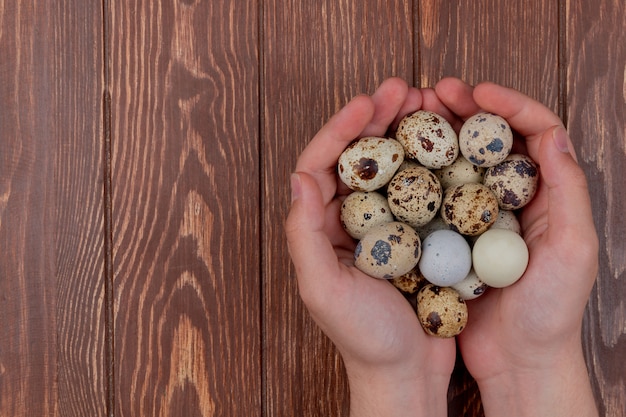 Top view of female hands holding small quail eggs on a wooden background with copy space