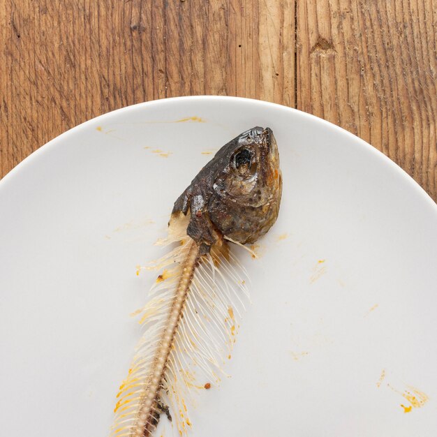 Top view fish bones on table