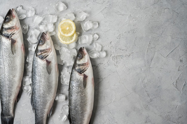 Top view fish frame with ice and lemon