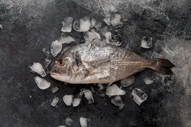 Top view fish on ice