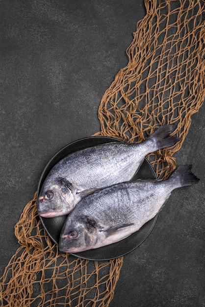 Top view fish in plate and fish net