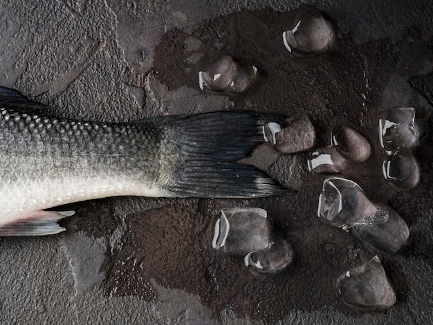 Top view fish tail with ice cubes