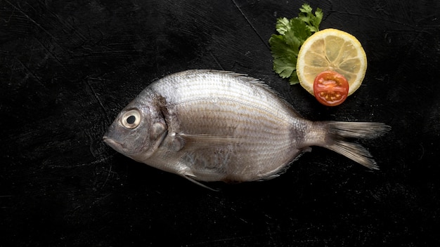 Top view of fish with lemon slice and tomato