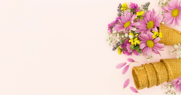 Top view floral frame with cones and copy-space