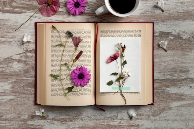 Free photo top view flower press with book