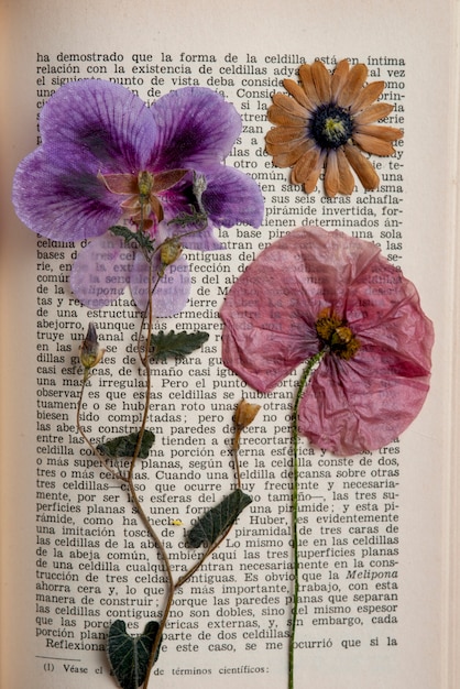 Free photo top view flower press with book