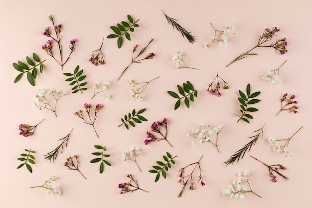 Top view flowers collection on table