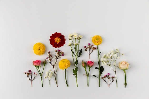 Free Photo top view flowers collection on table