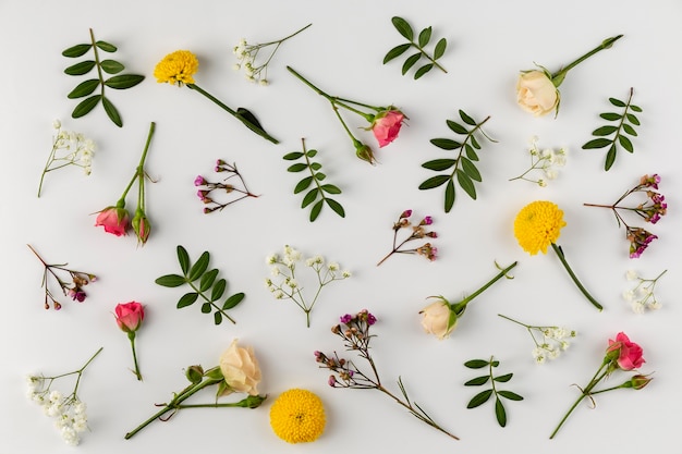 Top view flowers collection on table