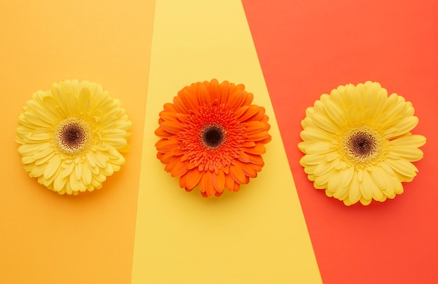 Top view flowers on desk