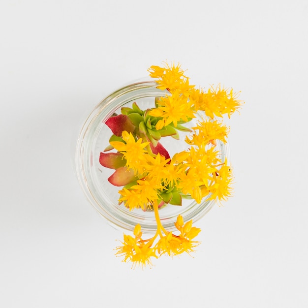 Free photo top view flowers in glass vase